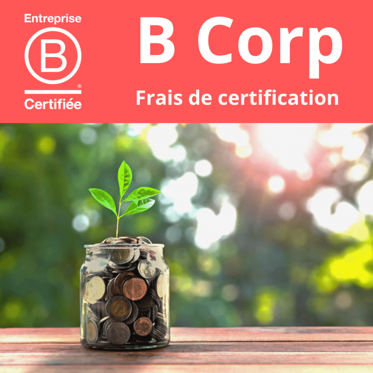 Quel Est Le Tarif De La Certification B Corp ? - Entreprises Engagées