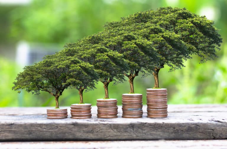 Finance durable