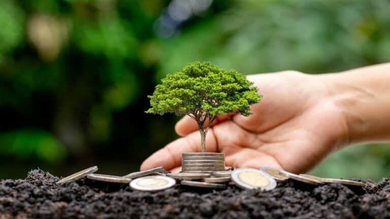 Comment les entreprises contribuent au développement durable