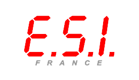 logo ESI, entreprise dans le secteur de la distribution informatique