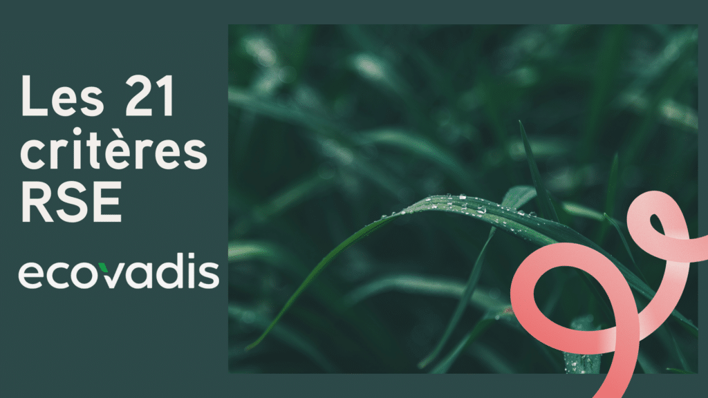 Les 21 critères évaluation EcoVadis
