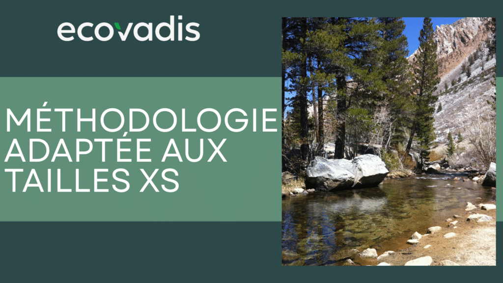 Evaluation EcoVadis : méthodologie adaptée aux tailles xs
