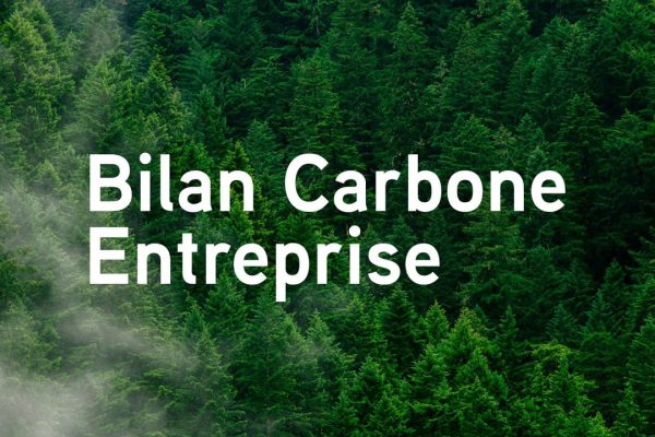 accompagnement-bilan-carbone-entreprise-vignette
